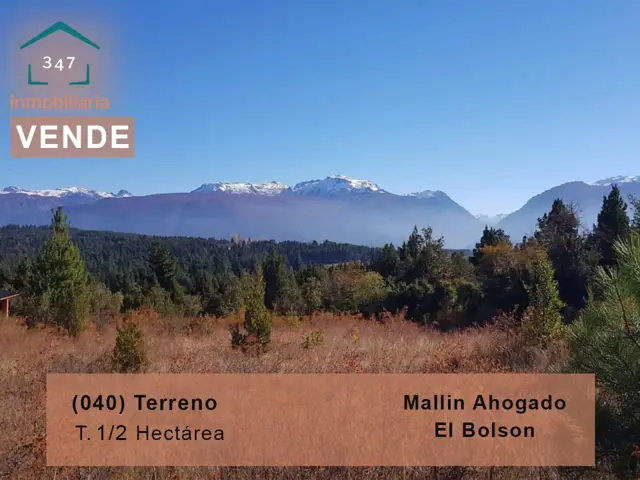 TERRENO en Mallin Alto de 1/2 Hectárea