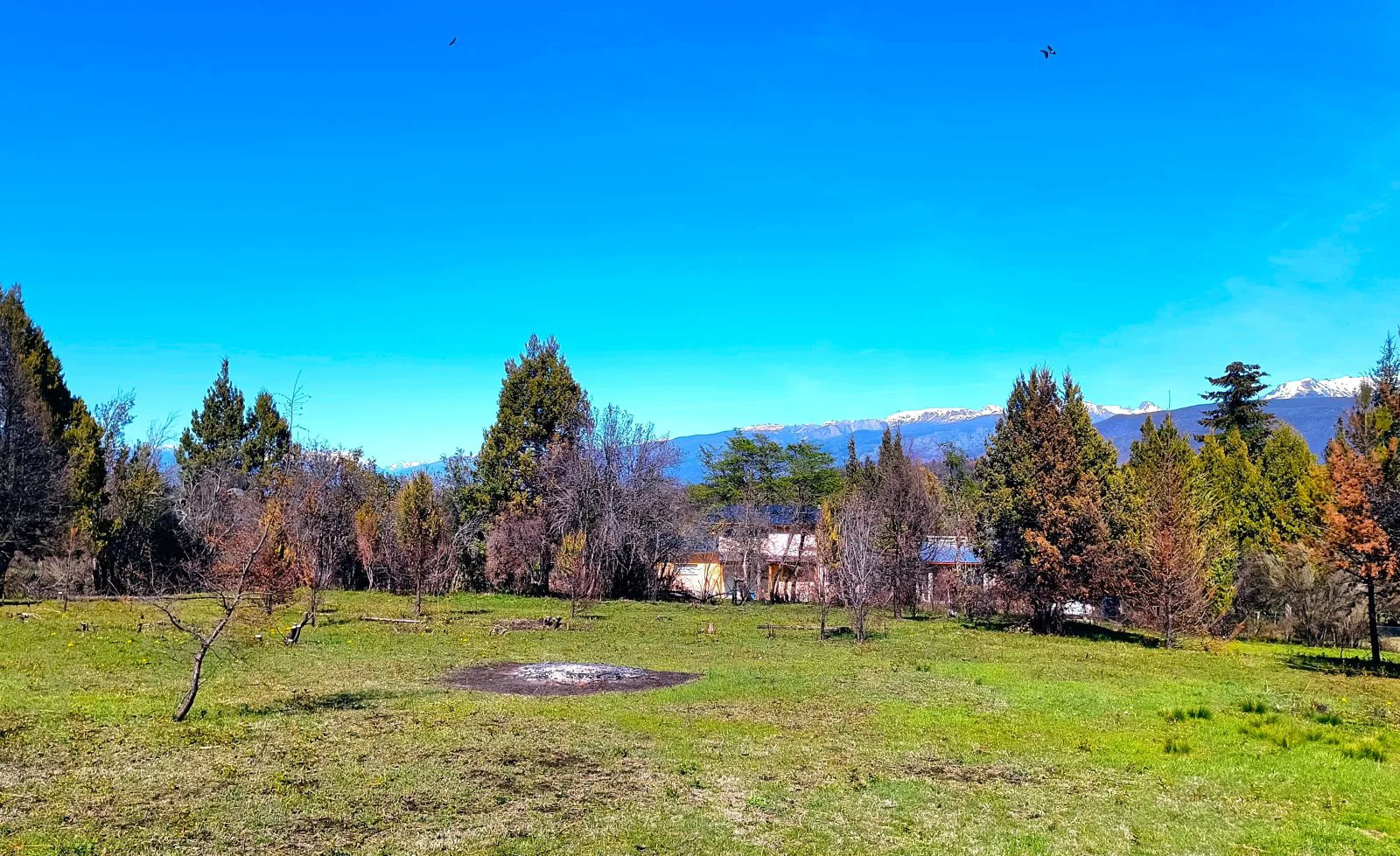 TERRENO en Mallin Alto de 1/2 Hectárea foto 2