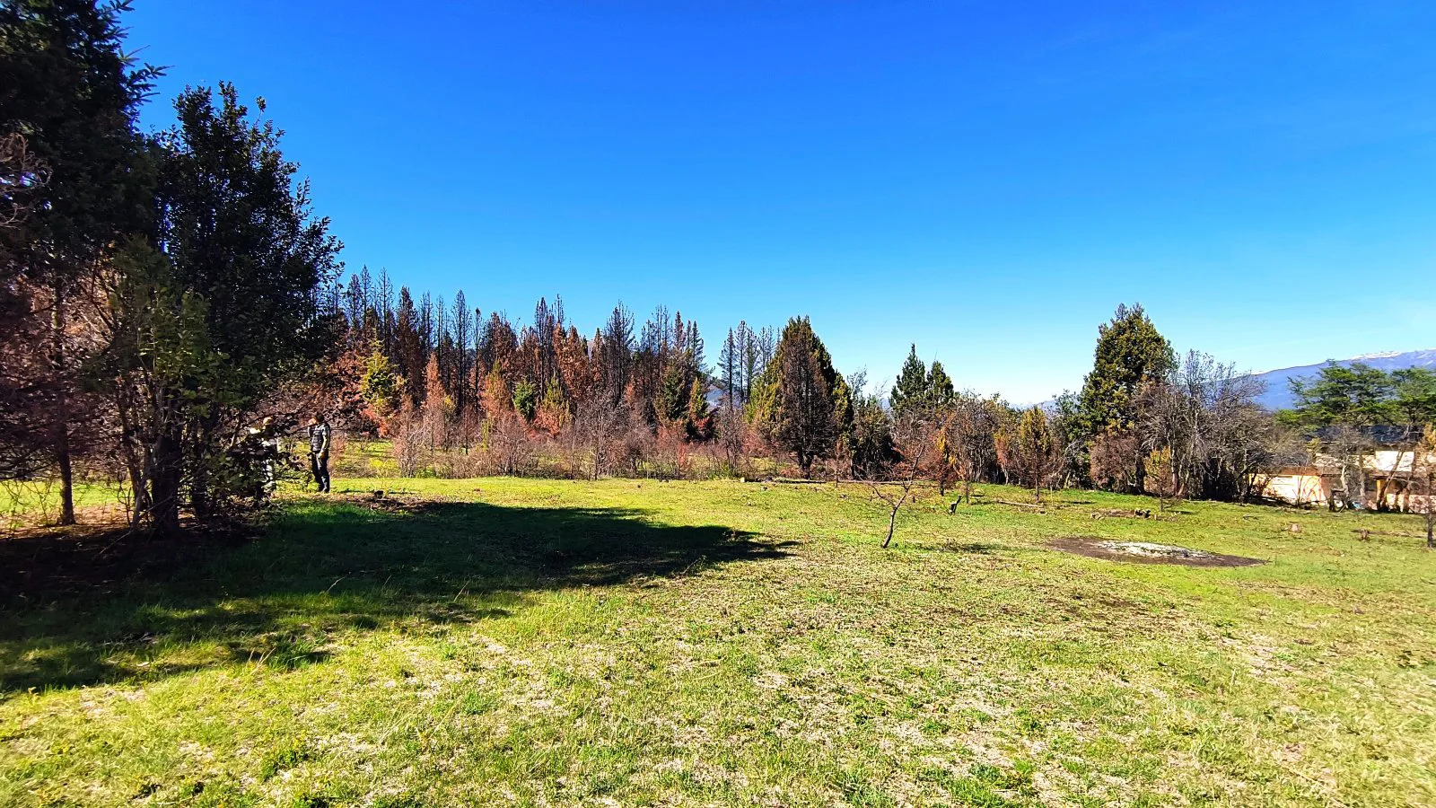 TERRENO en Mallin Alto de 1/2 Hectárea foto 5