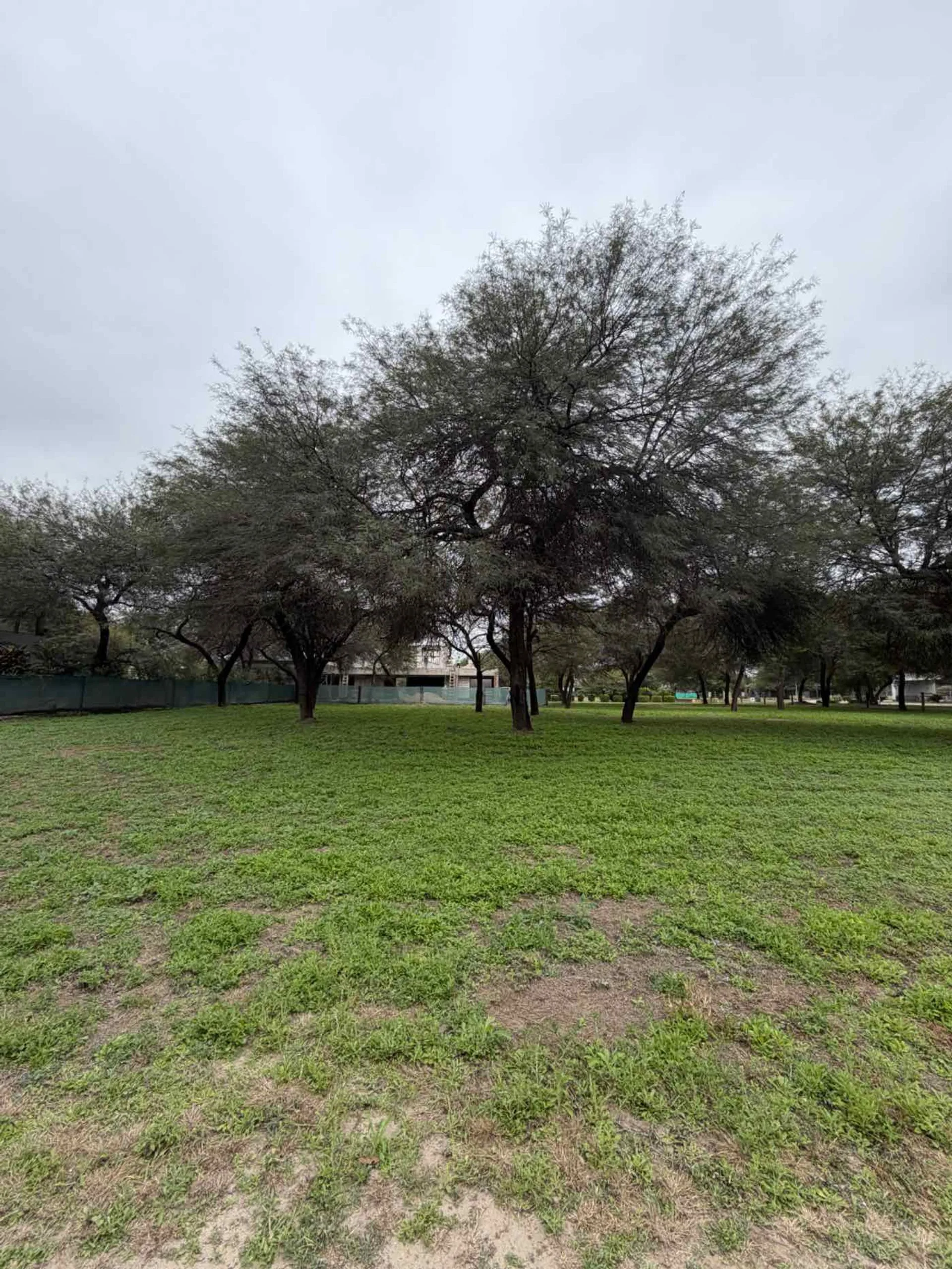 VENTA LOTE - BARRIO PRIVADO SOLARES OESTE