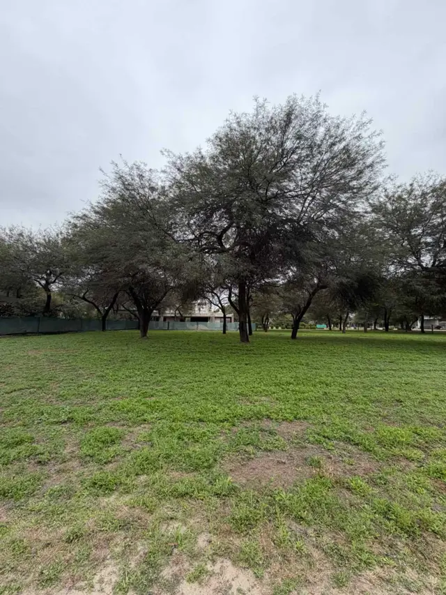 VENTA LOTE - BARRIO PRIVADO SOLARES OESTE