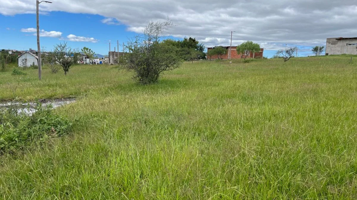 VENTA TERRENO TANTI 1567 m2 foto 4