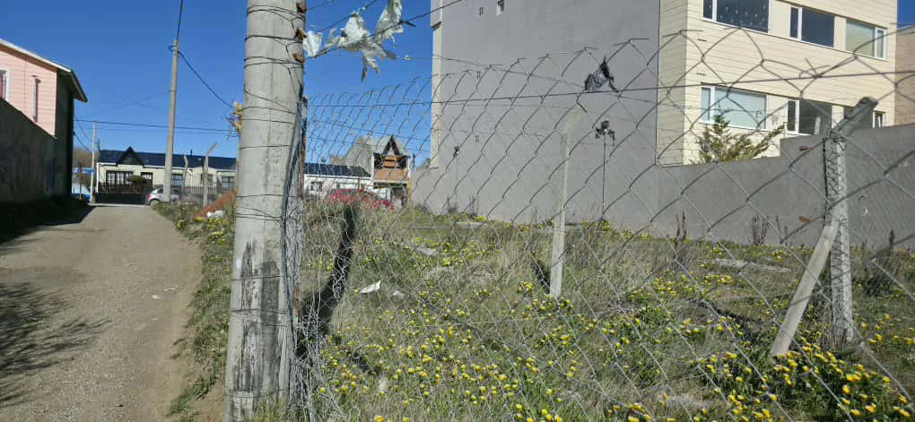 VENTA – TERRENO – C.G.T. foto 3