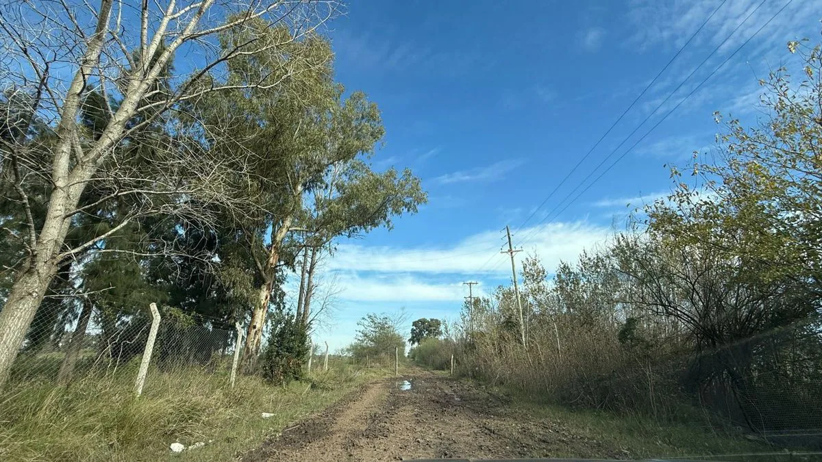 Excelente lote zona de casas quintas San Vicente 6 foto 3