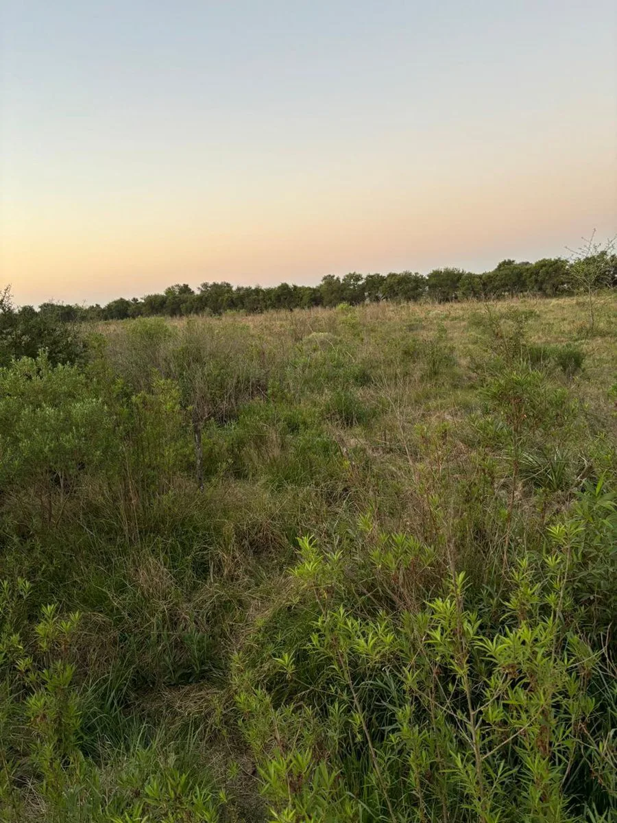 Lote de 992 M en Rodríguez, zona de campo foto 3