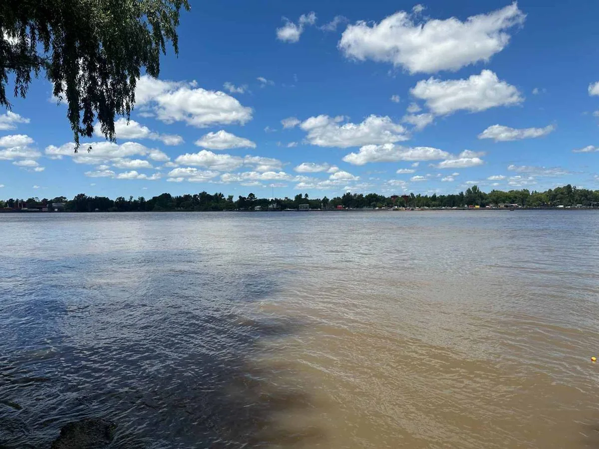 VENTA LOTE C/CASA PARANÁ DE LAS PALMAS FTE. PUERTO foto 3
