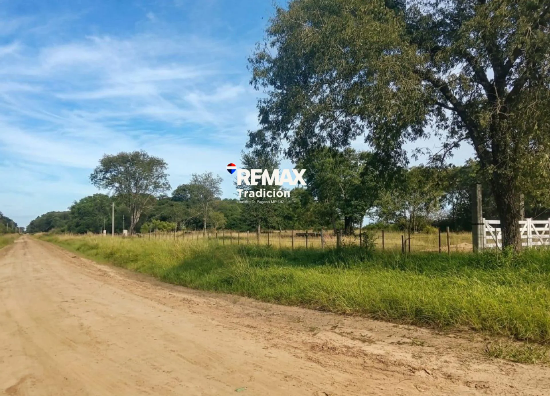 VENTA TERRENO 12.600 M2 COLONIA BENITEZ foto 3