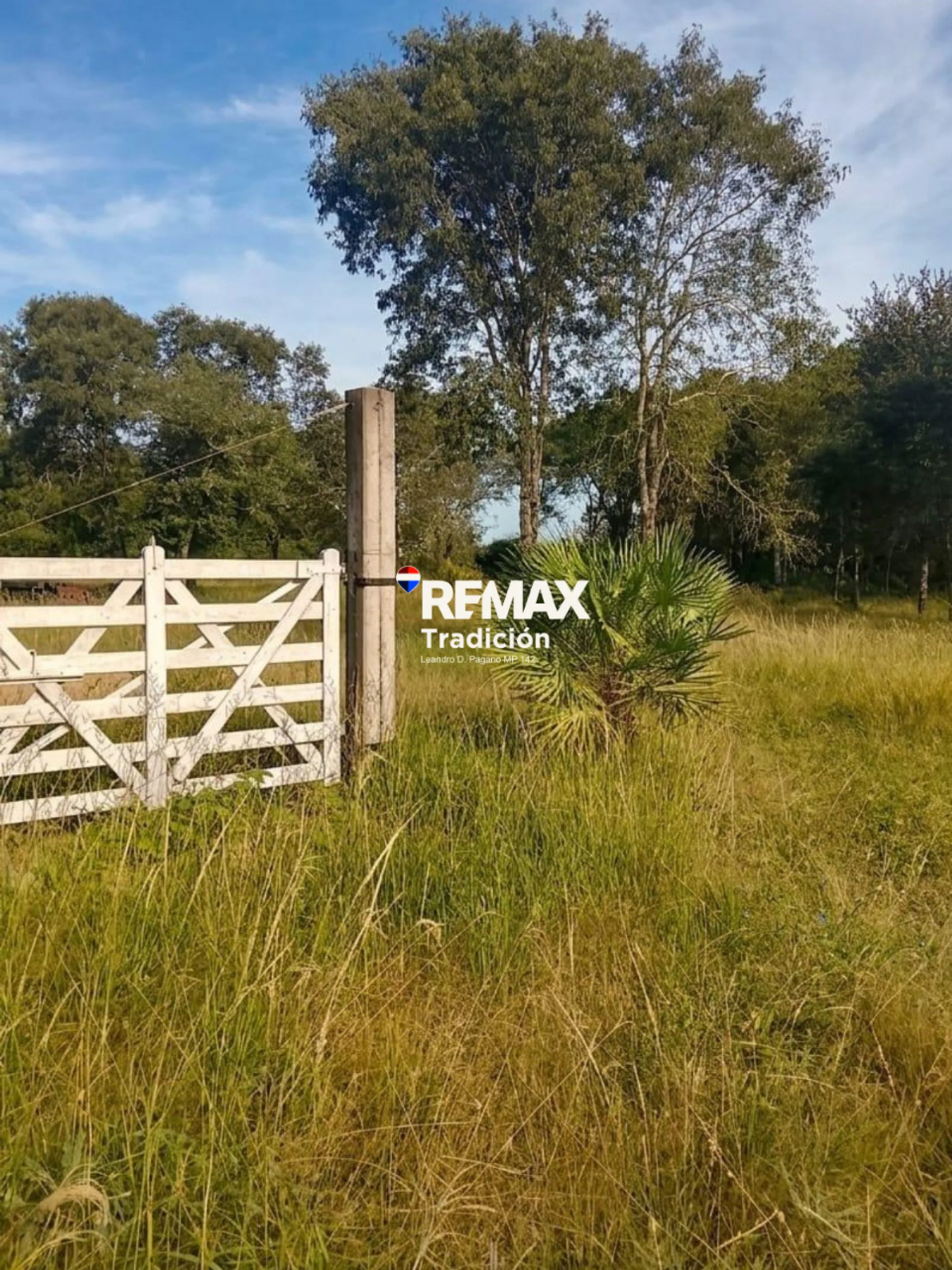 VENTA TERRENO 12.600 M2 COLONIA BENITEZ foto 4