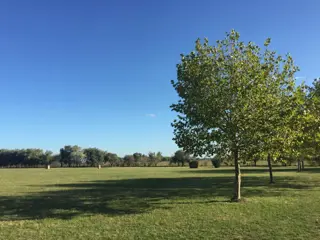 OPORTUNIDAD DE INVERSION - LOTE EN VENTA  -CLUB DE CAMPO LA RANITA  -  OPEN DOOR foto 2