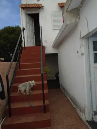 EXCELENTE CONDOMINIO DE 4 DEPTOS PARA ALQUILER TEMPORARIO foto 5