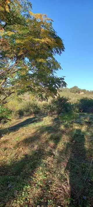 LOTE playas de oro, Tte NIVOLI.  701 m2 foto 2