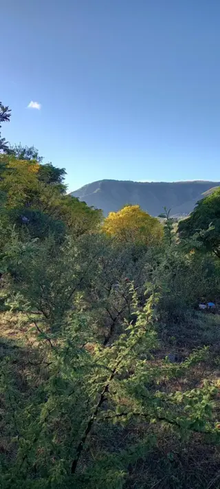 LOTE playas de oro, Tte NIVOLI.  701 m2 foto 4