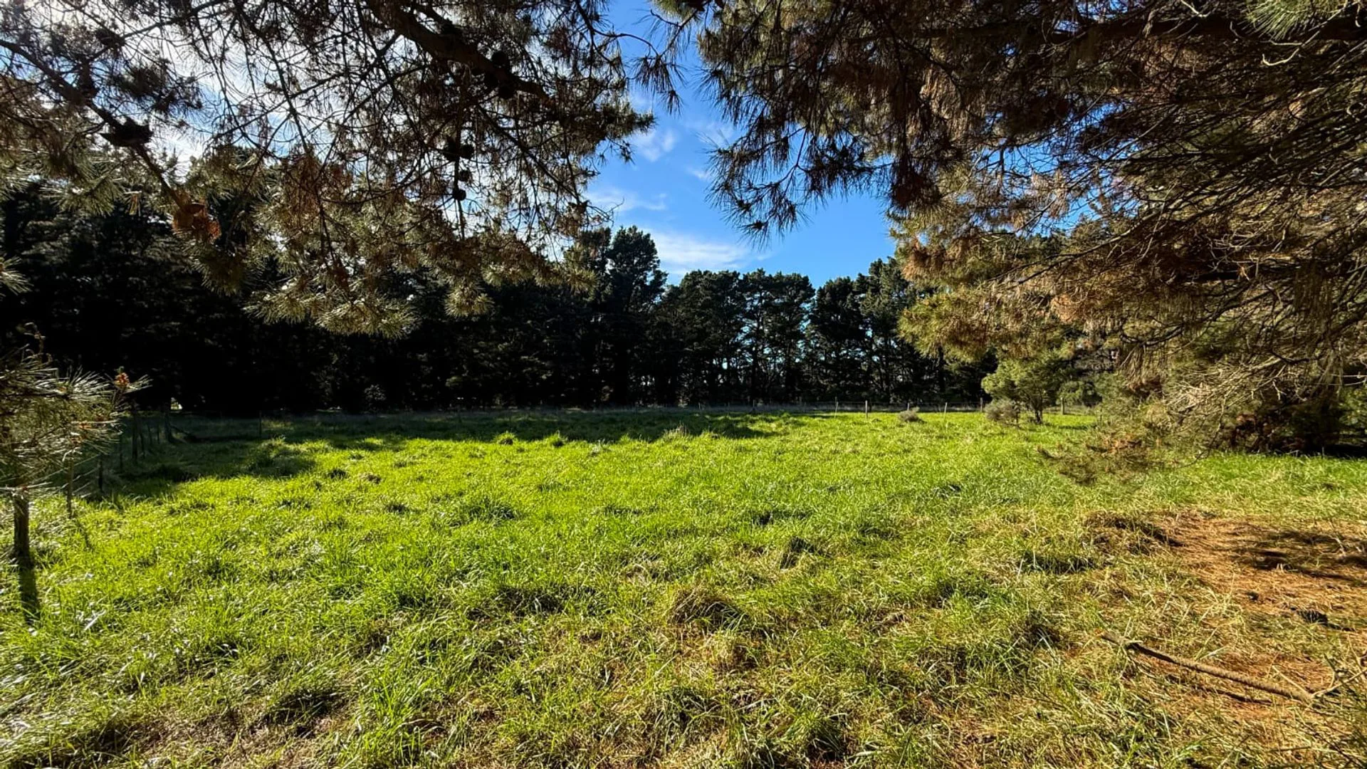 2 LOTES CERCADOS ARBOLADOS 1025 M² EL MARQUESADO