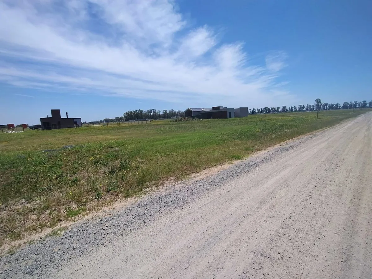 VENTA 1000 M2 BARRIO POLO TRES PINOS foto 3