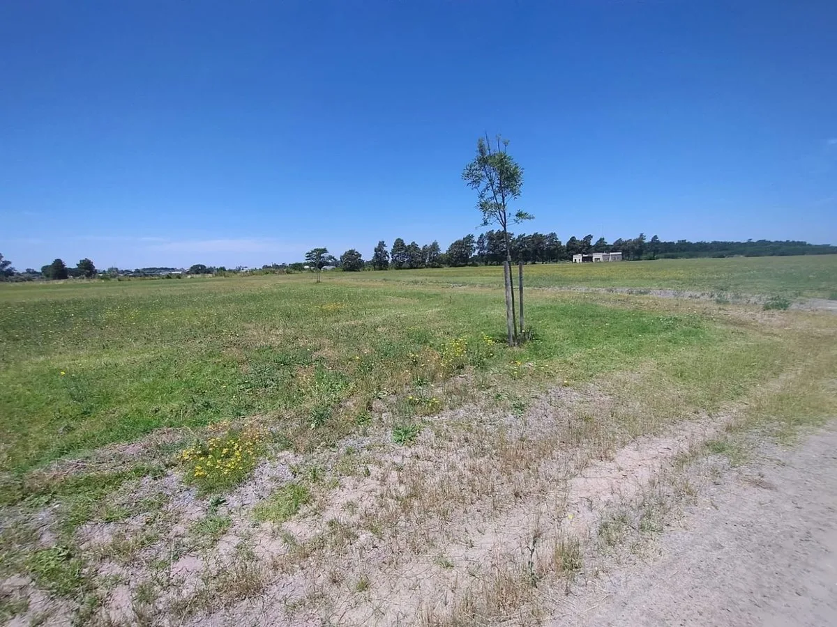 VENTA 1000 M2 BARRIO POLO TRES PINOS foto 4