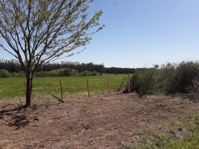 Venta / Lote Baradero Colonia Suiza