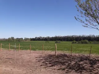 Venta / Lote Baradero Colonia Suiza foto 2