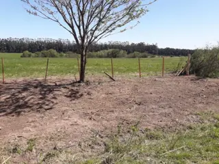 Venta / Lote Baradero Colonia Suiza foto 4