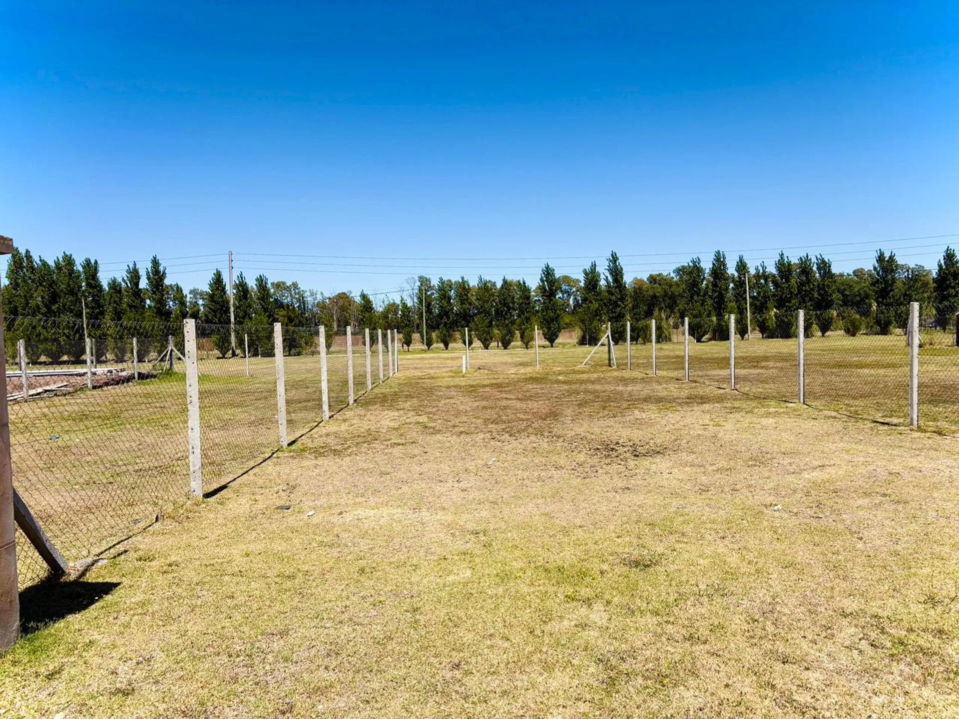 VENTA-TERRENO-CANNING-ESTILO CAMPO foto 3