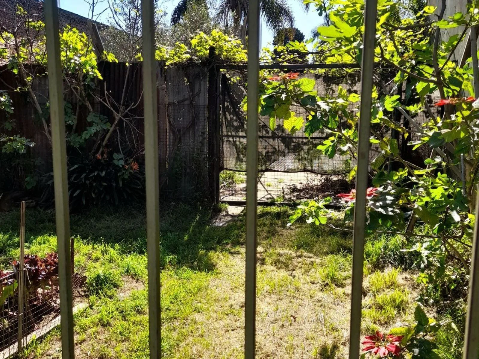 !Venta de casa en San Justo Excelente Oportunidad De Inversión!! foto 2