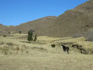 CAMPO EN ALTOS DEL DURAZNO - ESTANCIA GRANDE- SAN LUIS A LA VENTA foto 1