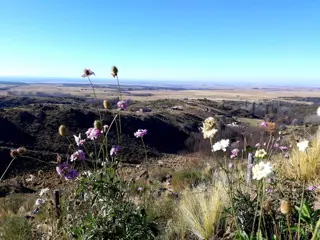 CAMPO EN ALTOS DEL DURAZNO - ESTANCIA GRANDE- SAN LUIS A LA VENTA foto 2