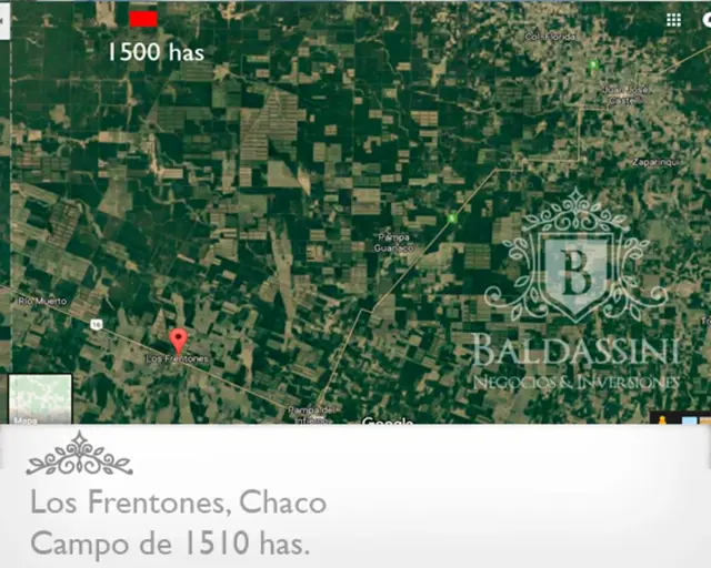 CAMPO DE 1510 HAS EN LOS FRENTONES - CHACO - CAMPO GANADERO CON MUY BUENA APTITUD AGRÍCOLA.