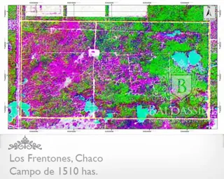 CAMPO DE 1510 HAS EN LOS FRENTONES - CHACO - CAMPO GANADERO CON MUY BUENA APTITUD AGRÍCOLA. foto 3
