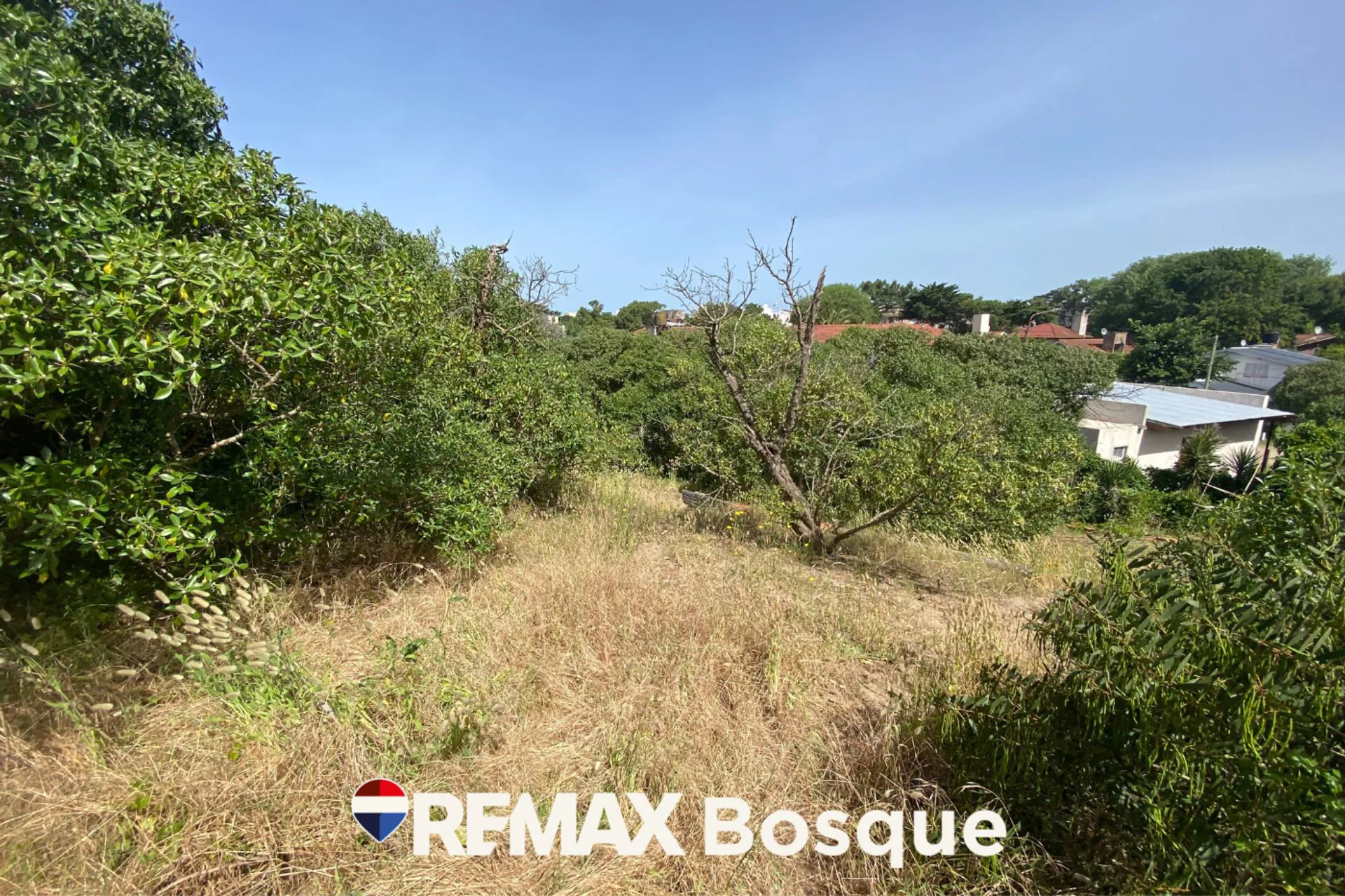 Venta Lote  Mar de Ostende 4 cuadras del mar
