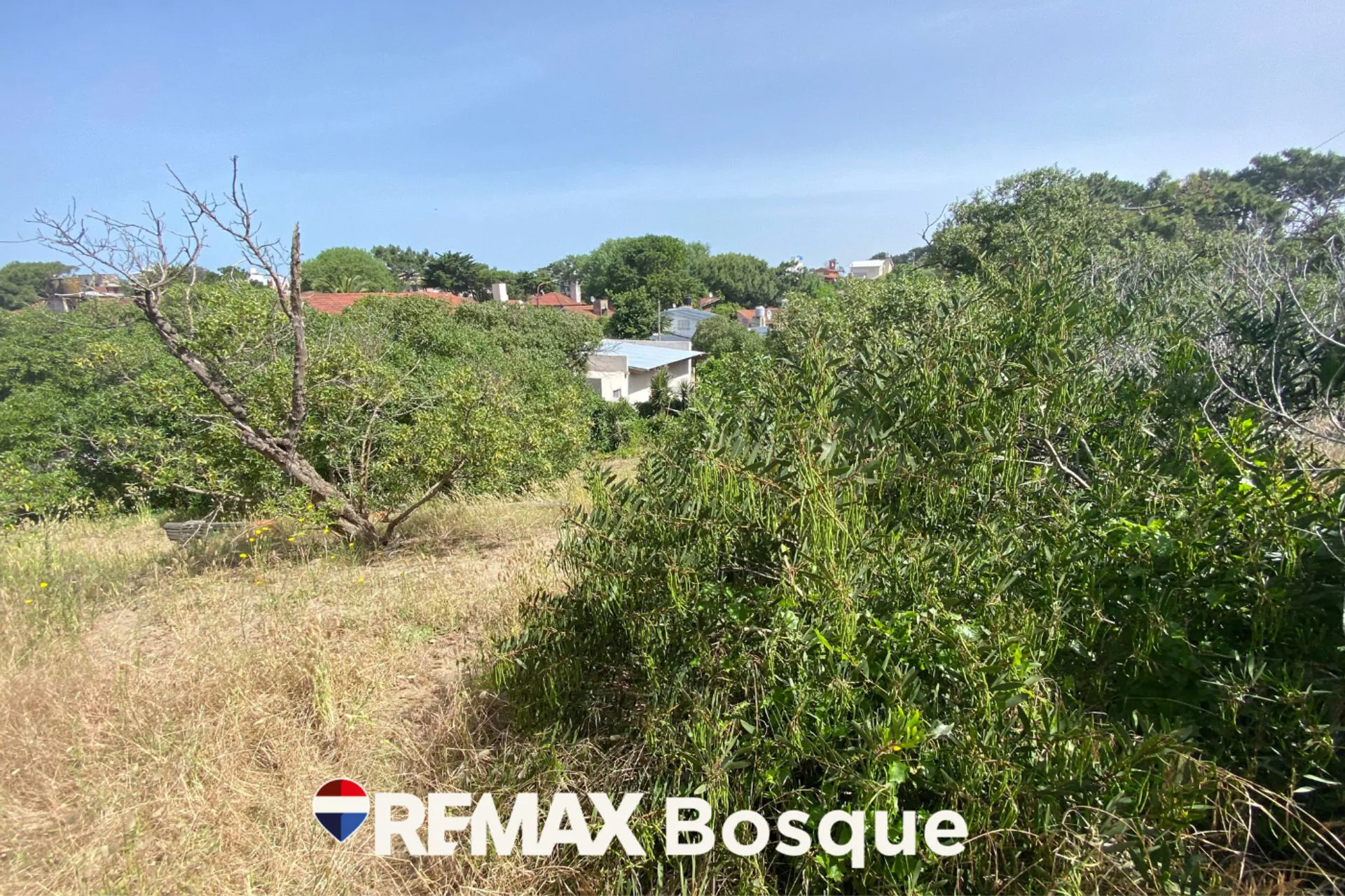 Venta Lote  Mar de Ostende 4 cuadras del mar foto 3