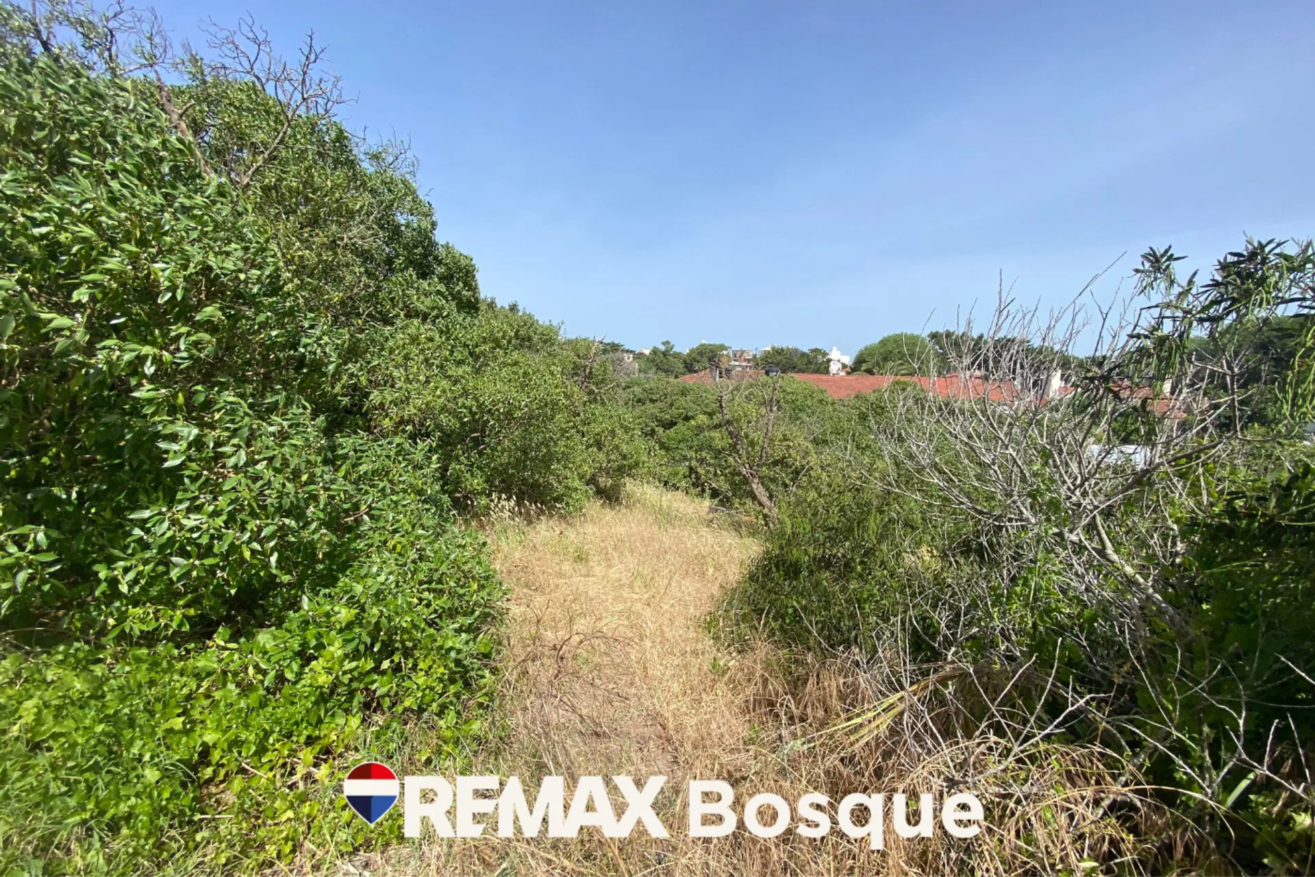 Venta Lote  Mar de Ostende 4 cuadras del mar foto 4