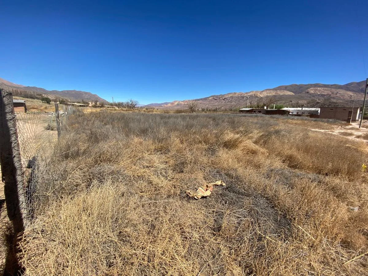 VENTA TERRENO 600 M2 HUACALERA foto 4