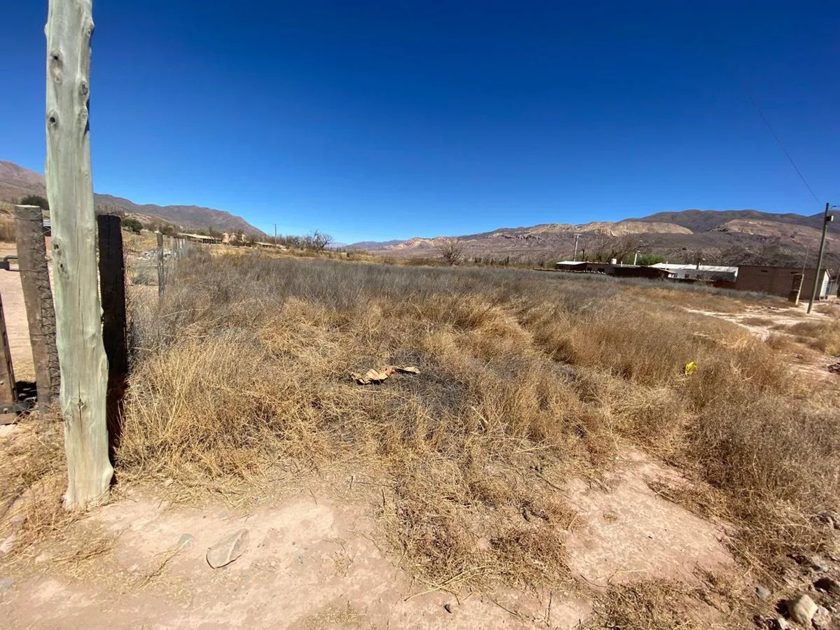 VENTA TERRENO 600 M2 HUACALERA foto 5