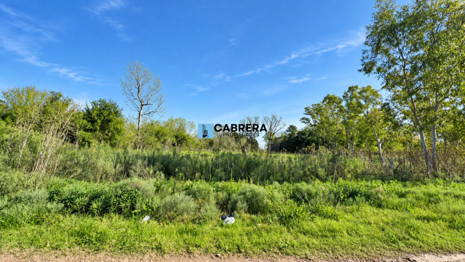 FRACCION DE 40.000 M2 EN VENTA EN MARIANO ACOSTA foto 2