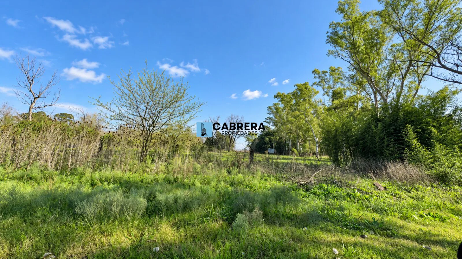 FRACCION DE 40.000 M2 EN VENTA EN MARIANO ACOSTA foto 3