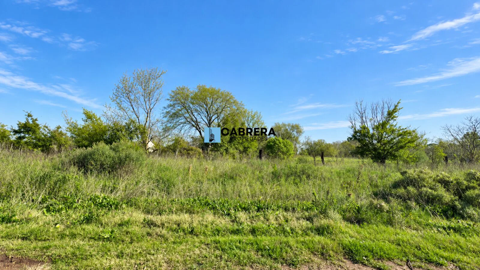FRACCION DE 40.000 M2 EN VENTA EN MARIANO ACOSTA foto 5