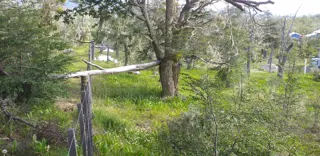 TERRENO EN VENTA TOLHUIN TIERRA DEL FUEGO foto 3