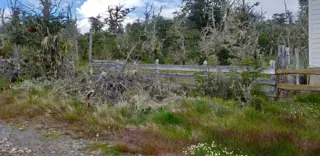 TERRENO EN VENTA TOLHUIN TIERRA DEL FUEGO foto 4