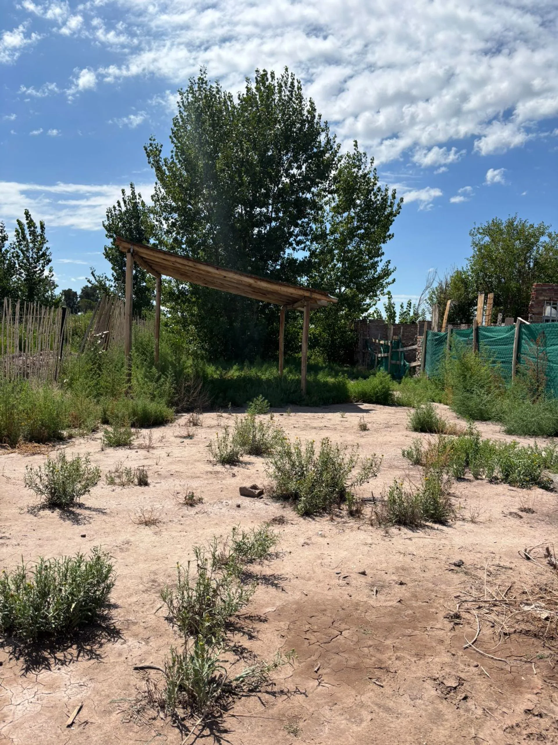 Casa en Colonia Segovia foto 4