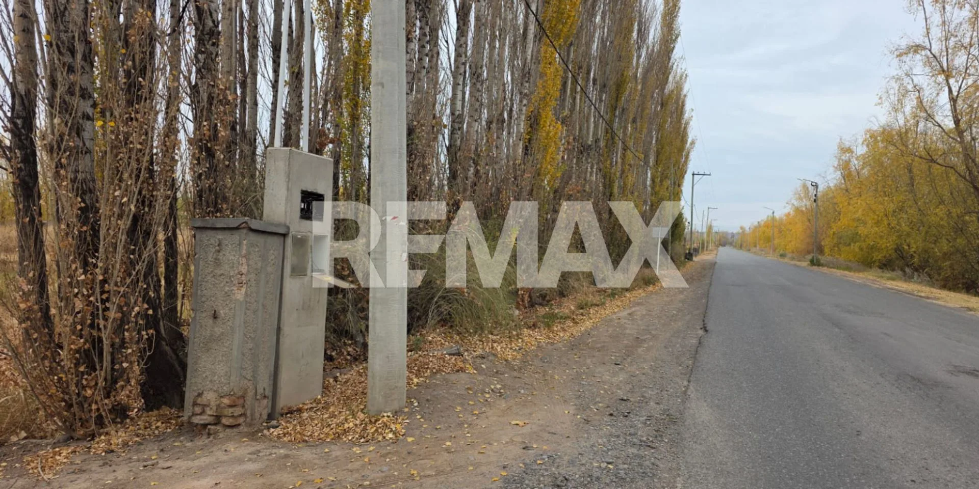 VENTA CHACRA 1 HECTAREA FERNANDEZ ORO foto 2