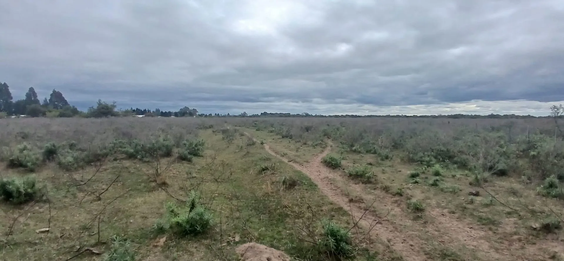 Campo de 6,5HA en Venta en Lavalle Correintes foto 3