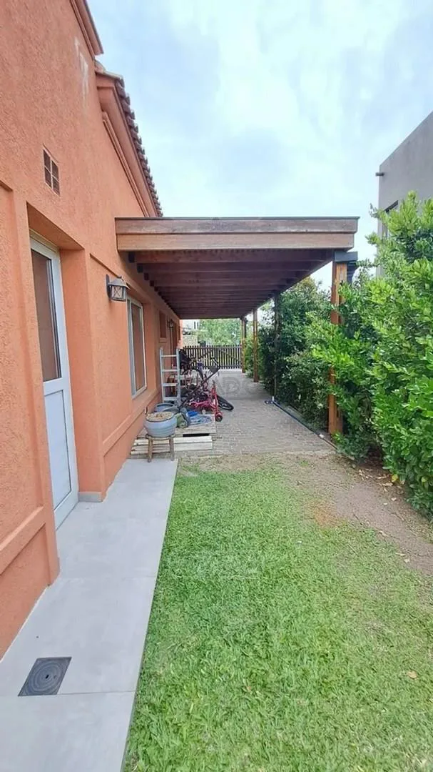 Araucarias, puertos del Lago 100 foto 2