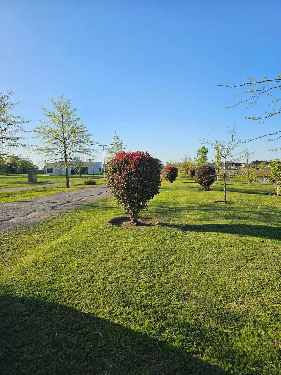 Lotes En Los Juncos, Barrio Cerrado, Lujan En Venta foto 5