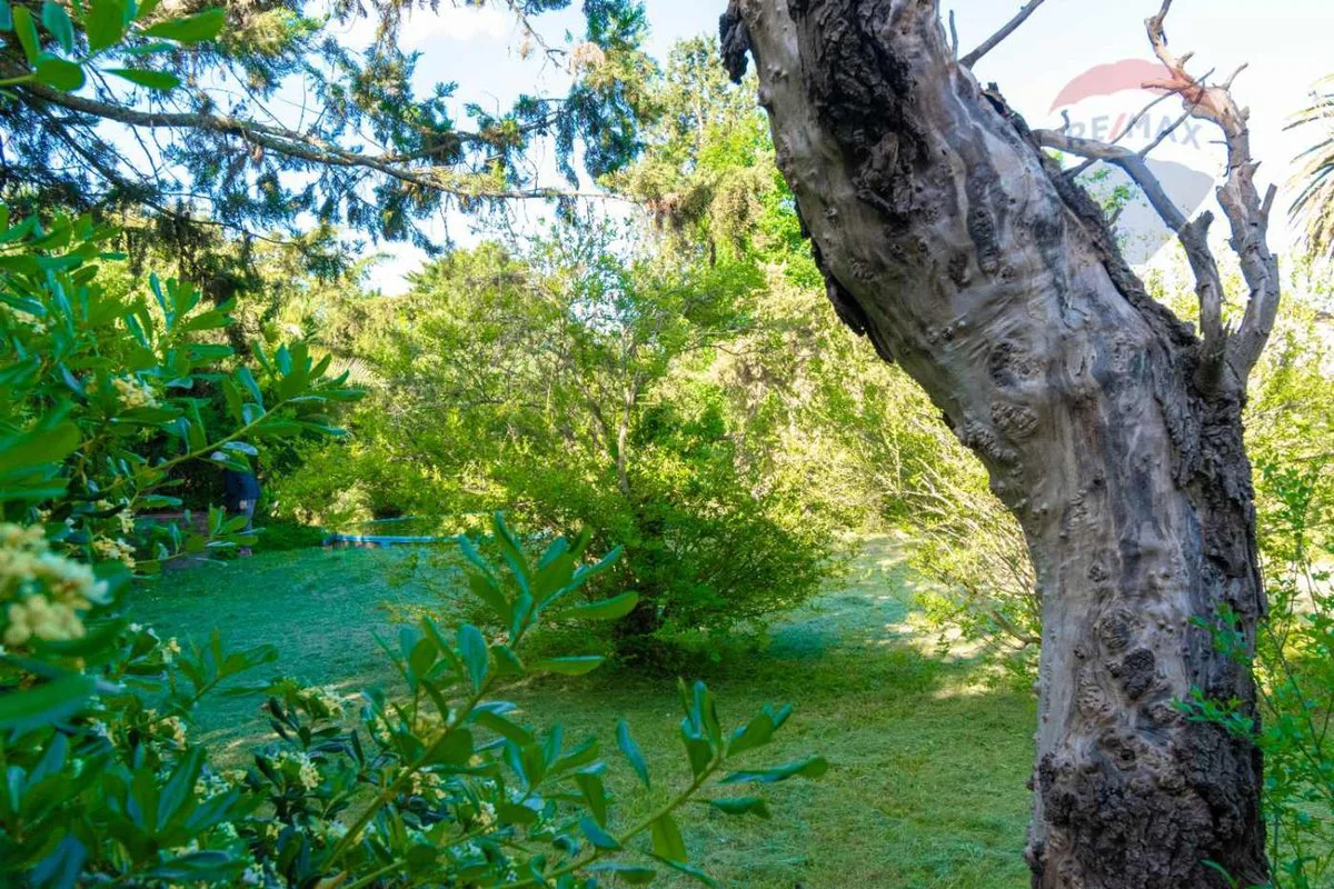CASA QUINTA EN VENTA LA PLATA, EL RODEO CON PILETA foto 5