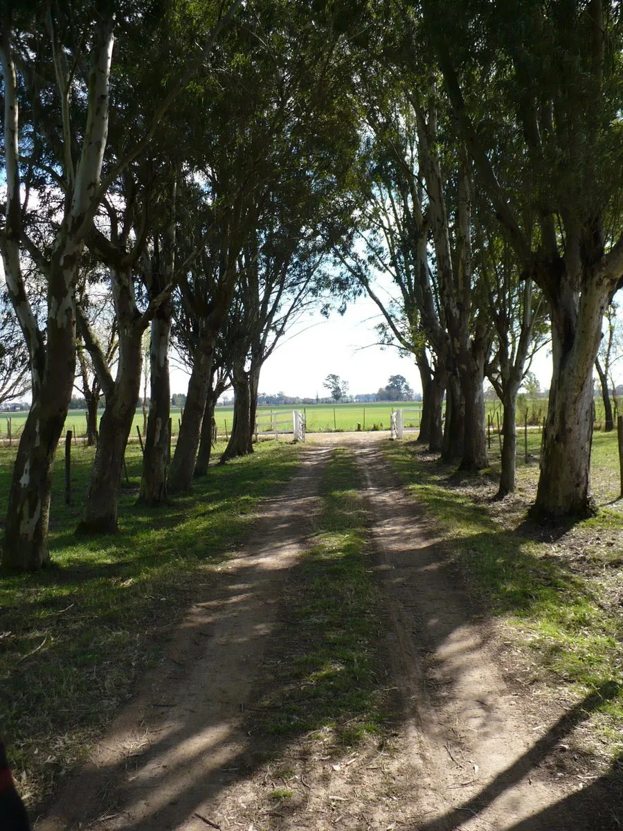 venta campo zarate foto 2