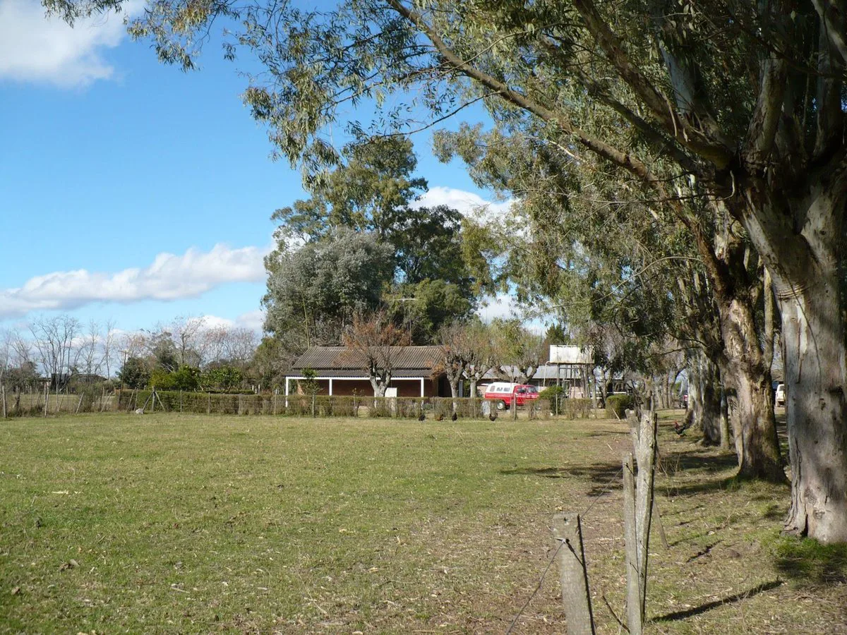 venta campo zarate foto 3