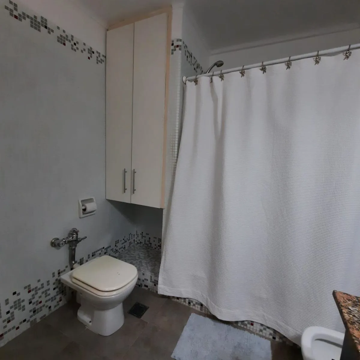1-bedroom apartment in Recoleta – photo 2 of 11