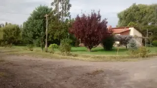 Oportunidad. Chacra en producción con vivienda POMONA   U$s 9500 la hectárea foto 1