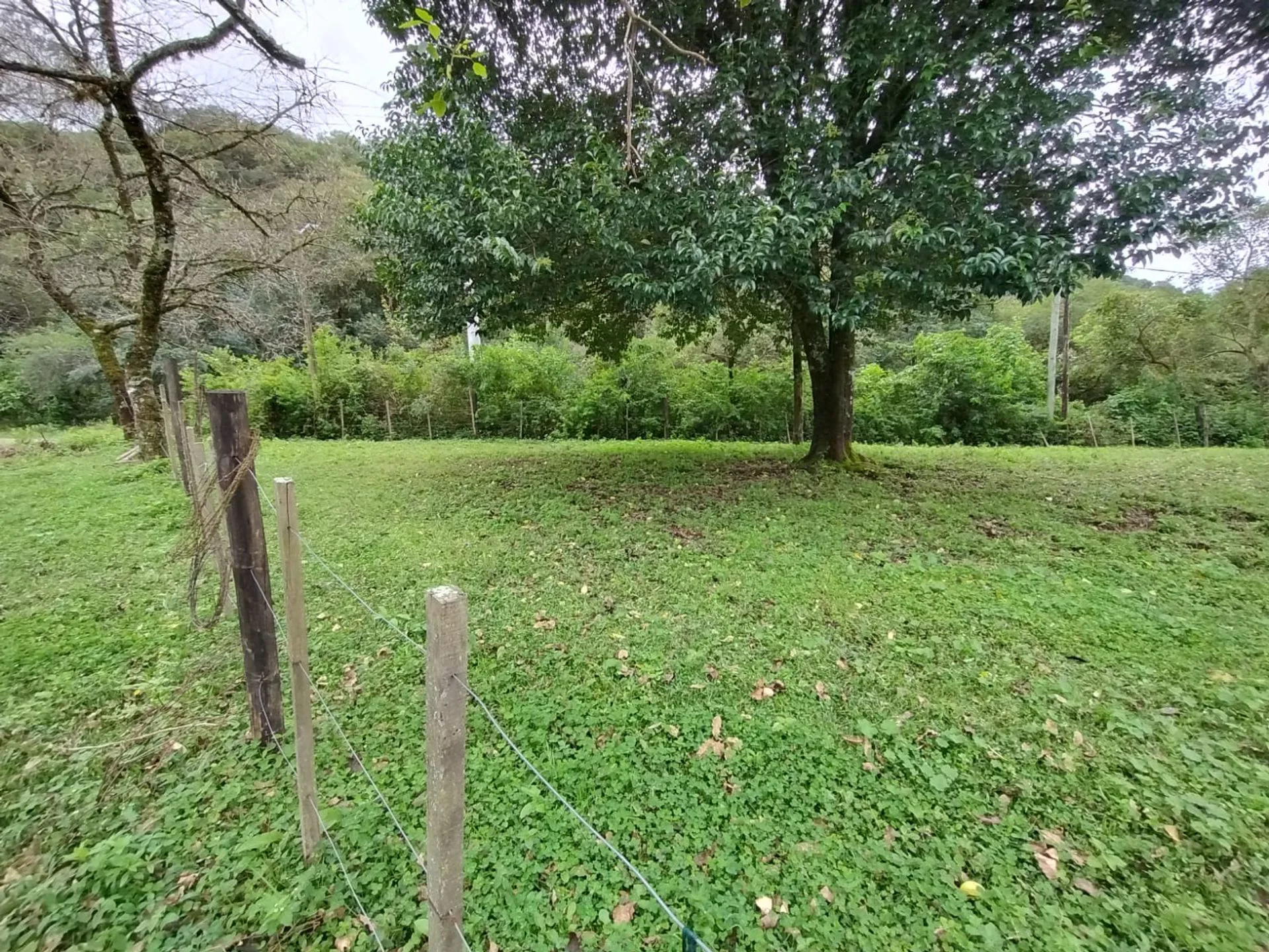 VENTA TERRENO EN ESQ. 1.054,76 M2 LOS NOGALES YALA foto 2