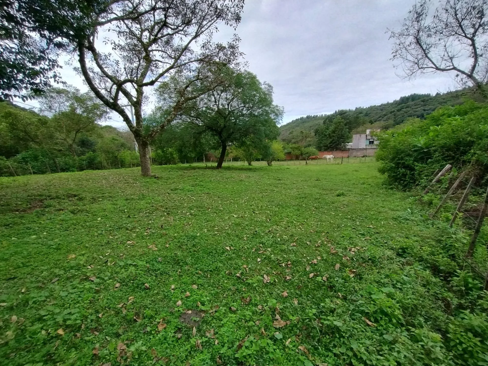 VENTA TERRENO EN ESQ. 1.054,76 M2 LOS NOGALES YALA foto 3